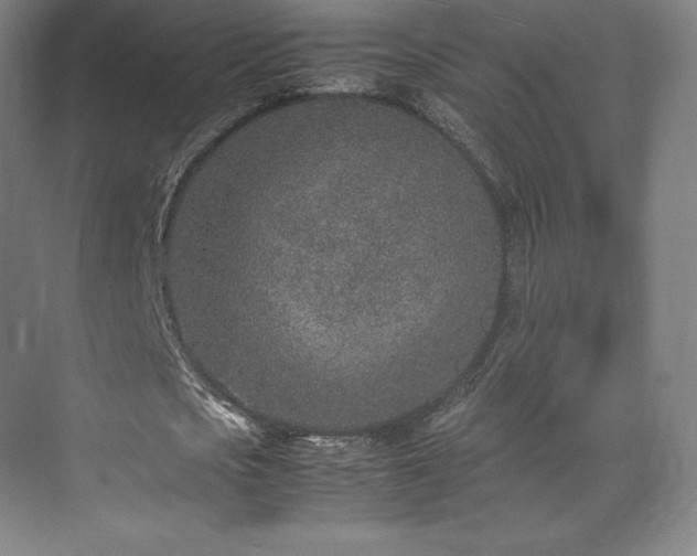 X0000071950721200607141458