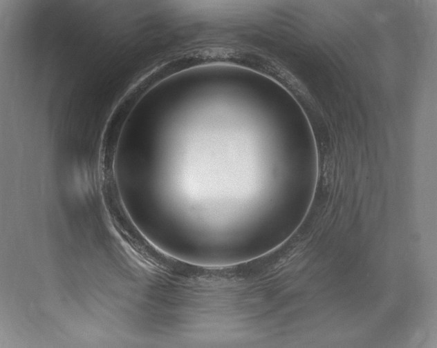 X0000071950722200607141458