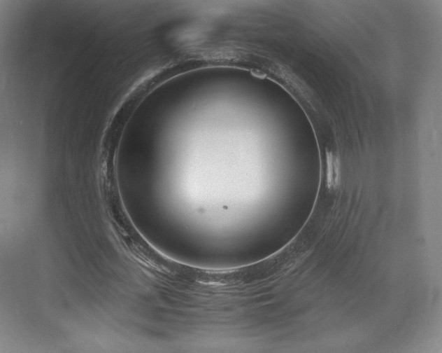 X0000071950723200607141458