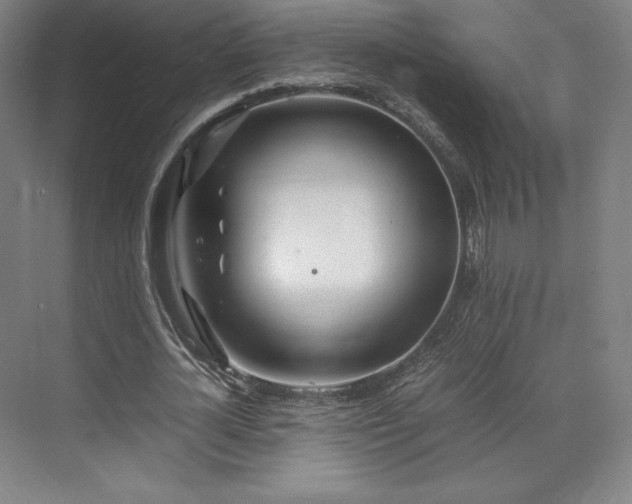 X0000071950724200607141458