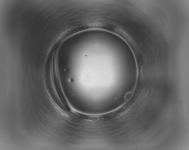 X0000071950725200607141458