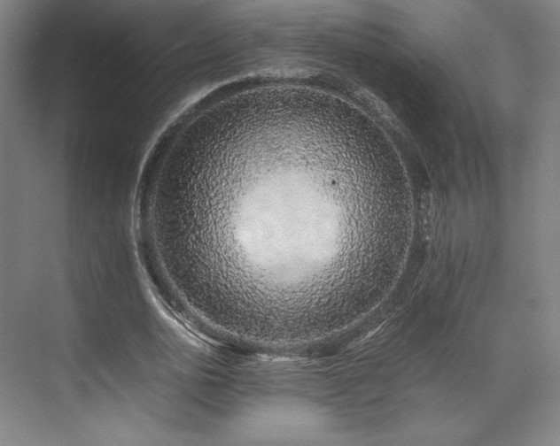 X0000071950726200607141458