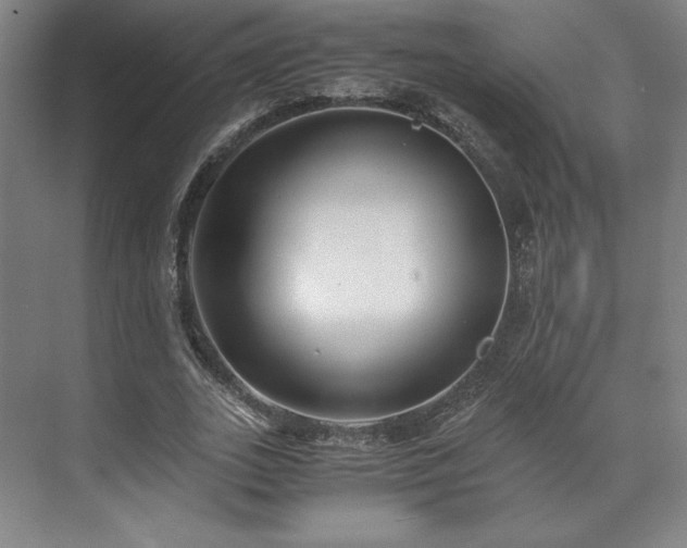 X0000071950727200607141458