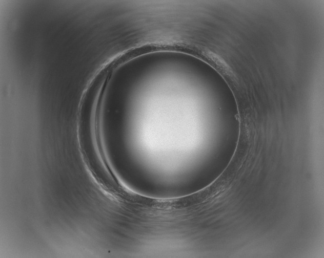 X0000071950728200607141458