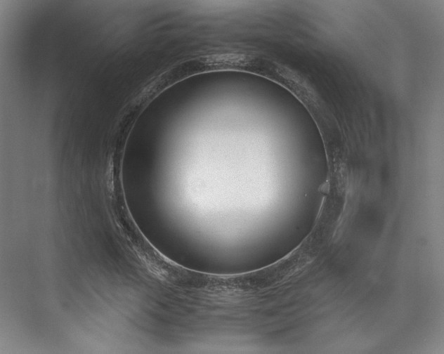 X0000071950729200607141458