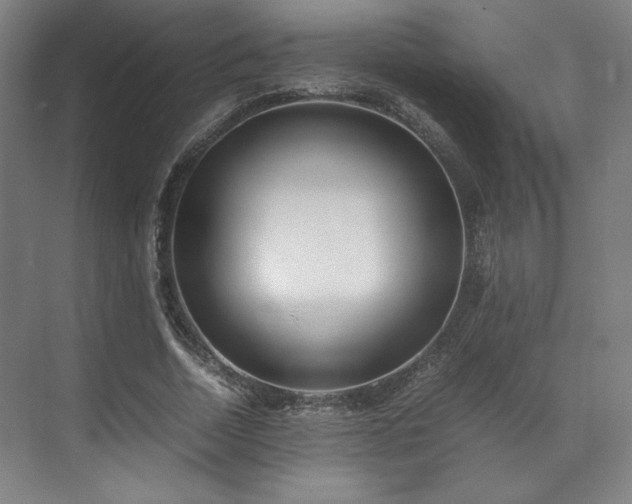 X0000071950730200607141458