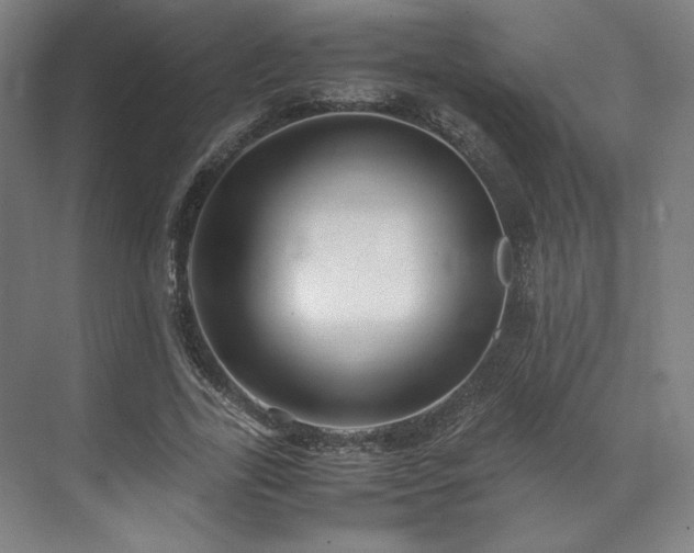 X0000071950731200607141458