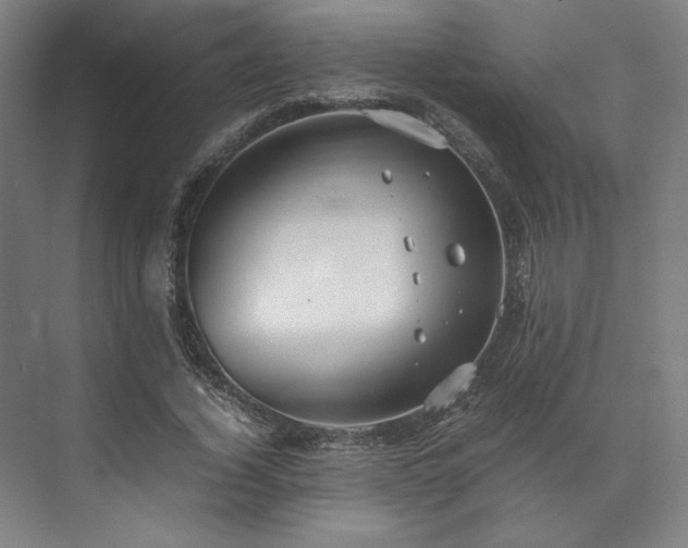 X0000071950732200607141458