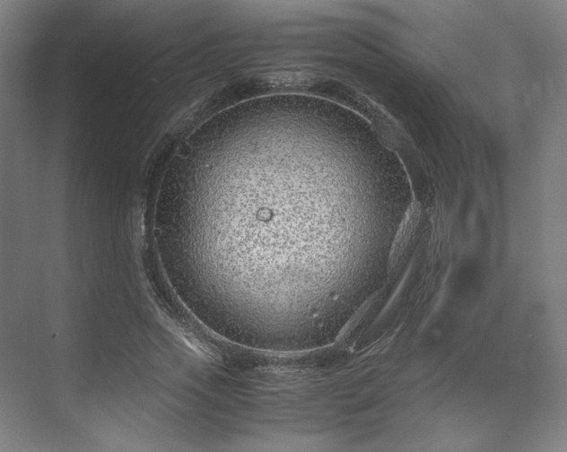 X0000071950733200607141458