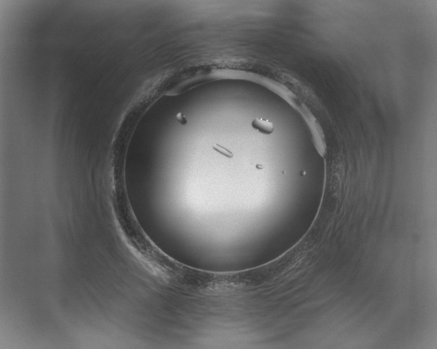 X0000071950734200607141458