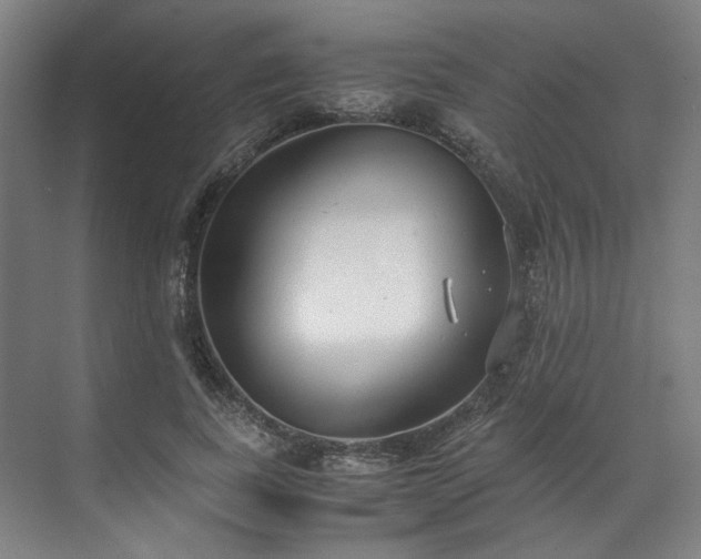 X0000071950739200607141458