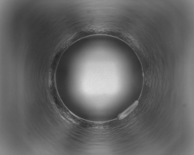 X0000071950740200607141458