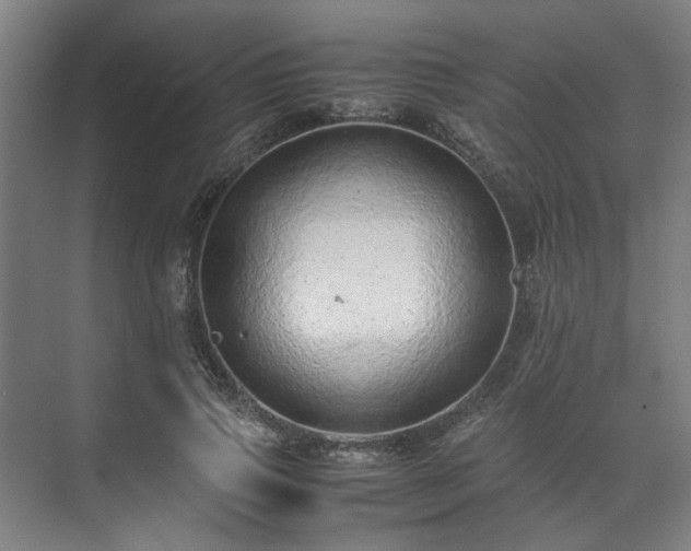 X0000071950741200607141458