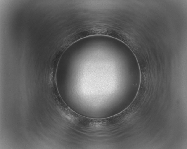 X0000071950745200607141458