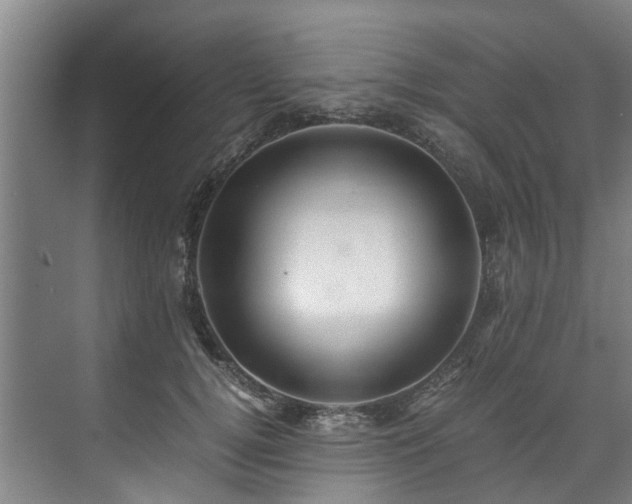 X0000071950752200607141458