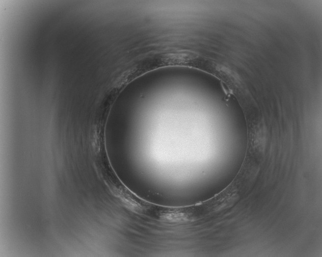 X0000071950759200607141459