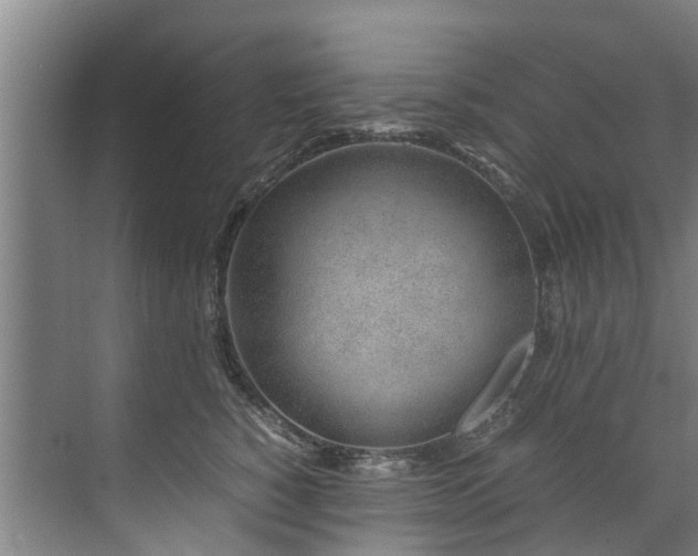 X0000071950760200607141459