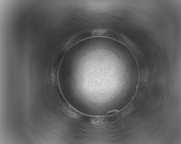 X0000071950761200607141459