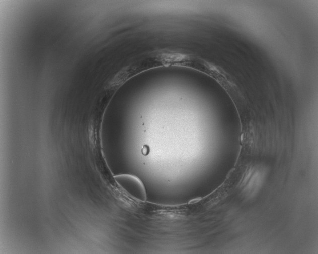 X0000071950763200607141459