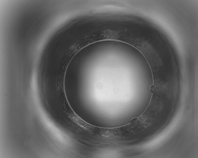 X0000071950765200607141459