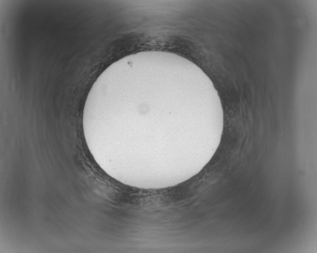 X0000071950769200607141458