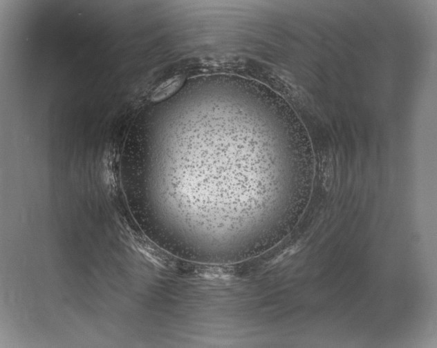 X0000071950770200607141458