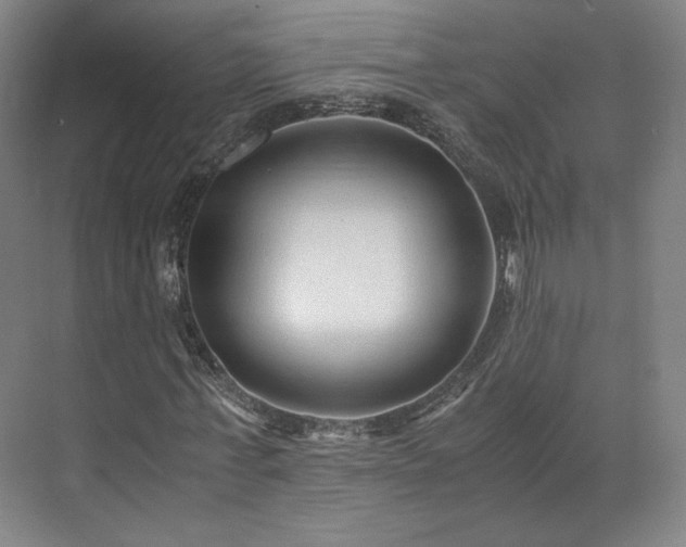 X0000071950771200607141458