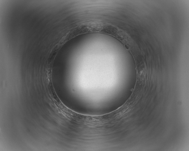 X0000071950772200607141458