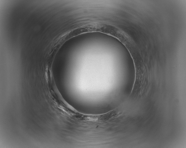 X0000071950773200607141458