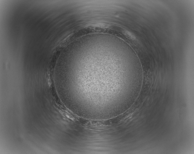 X0000071950774200607141458