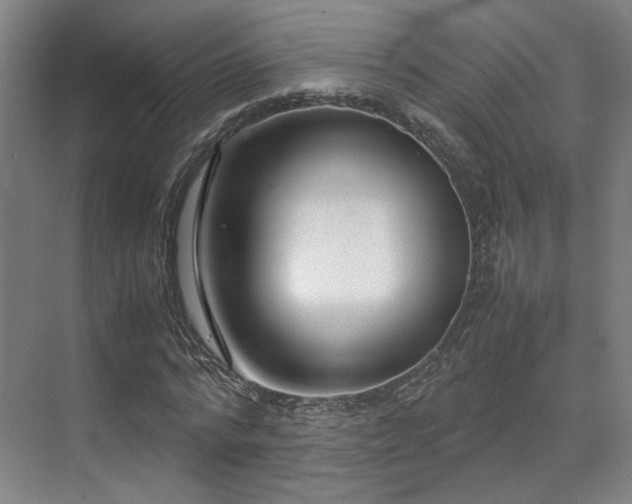 X0000071950776200607141458