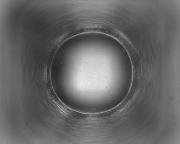 X0000071950777200607141458