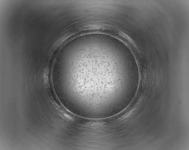 X0000071950778200607141458