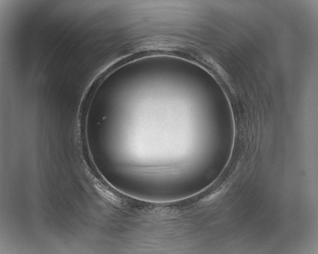 X0000071950779200607141458