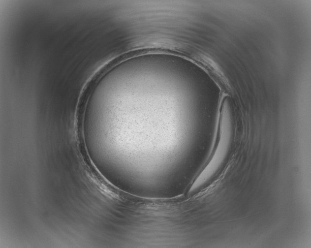 X0000071950780200607141458