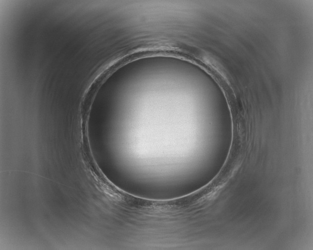 X0000071950781200607141458