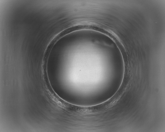 X0000071950783200607141458