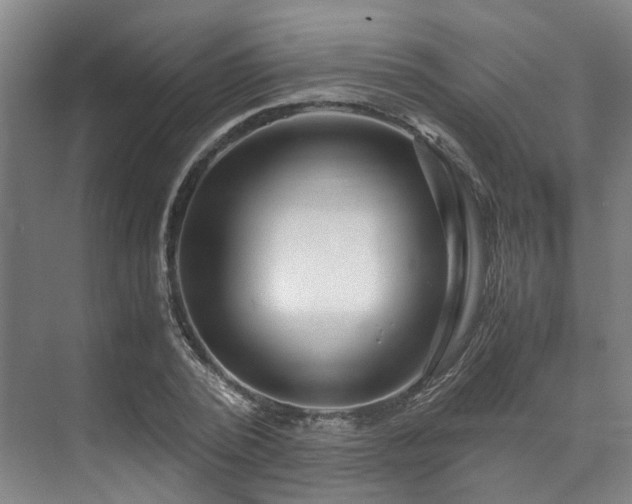 X0000071950784200607141458