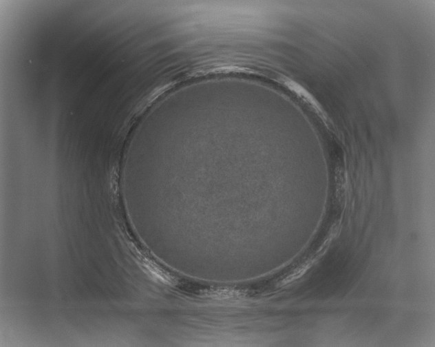 X0000071950785200607141458