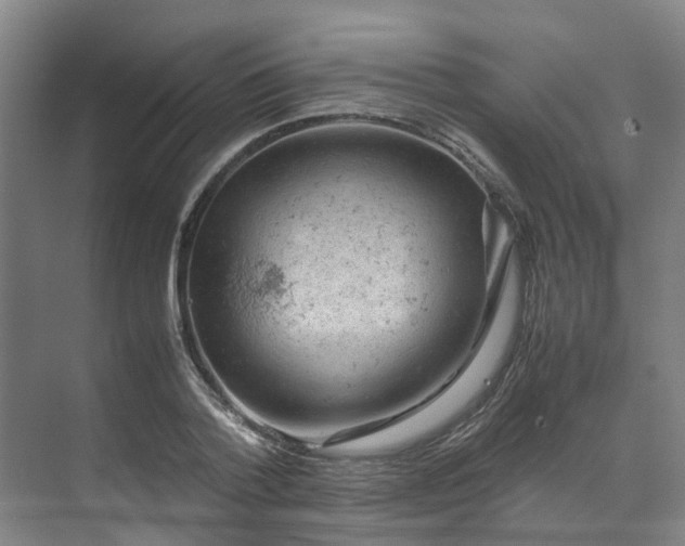 X0000071950788200607141458