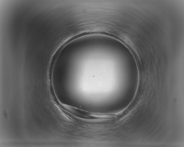 X0000071950789200607141458