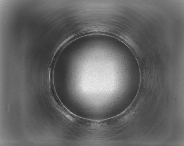 X0000071950790200607141458