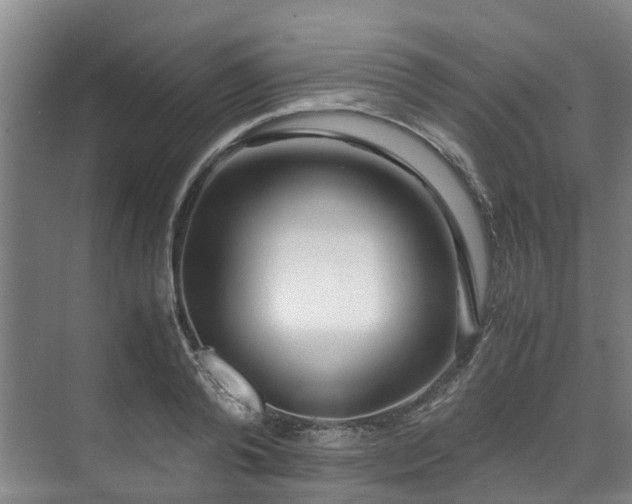 X0000071950792200607141458