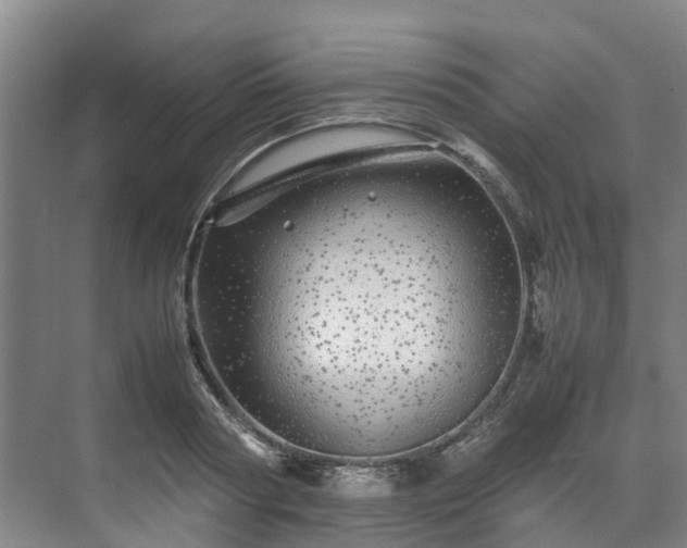 X0000071950794200607141457