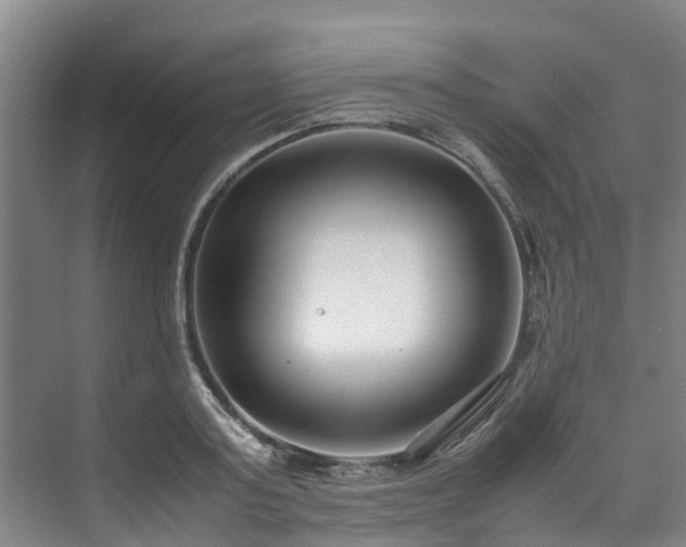 X0000071950795200607141457