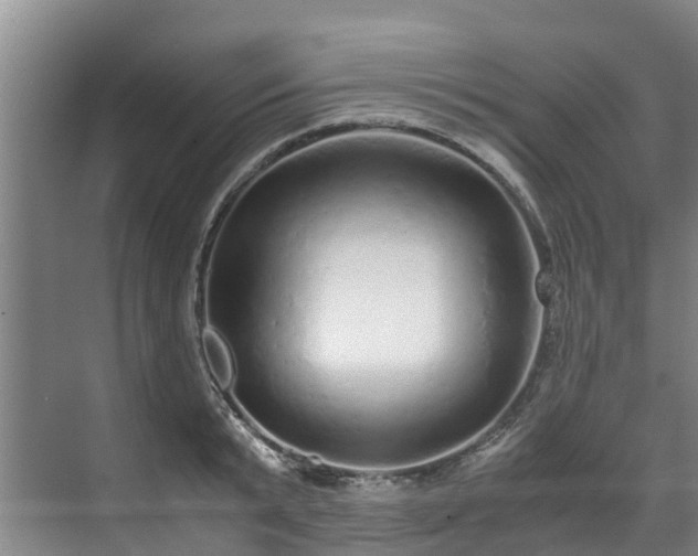 X0000071950799200607141457