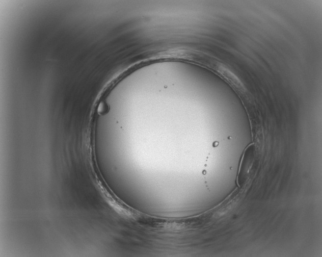 X0000071950800200607141457