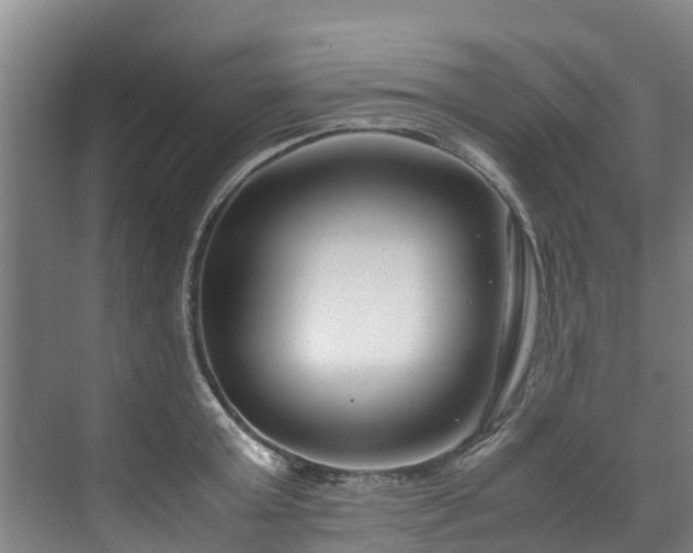 X0000071950803200607141457