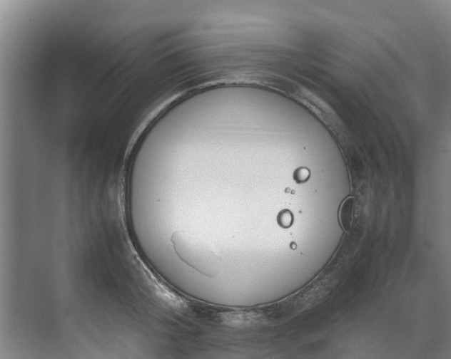 X0000071950804200607141457