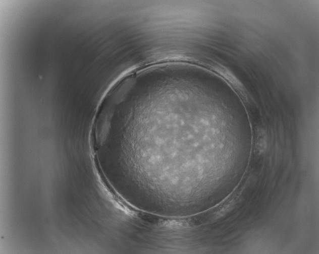 X0000071950806200607141457